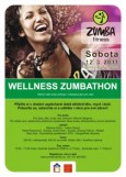 Wellness Zumbathon - nov termny